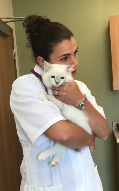Cat-Friendly-3