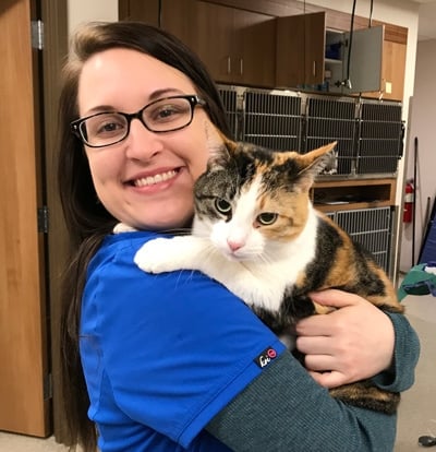 Cat-Friendly2