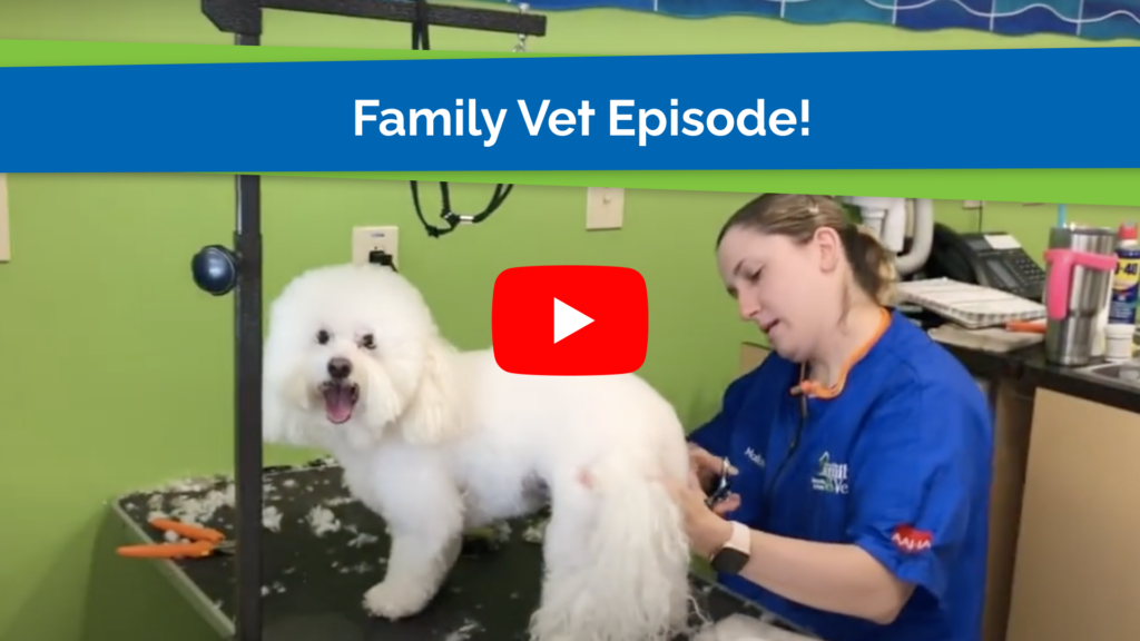 Family Vet Episode!
