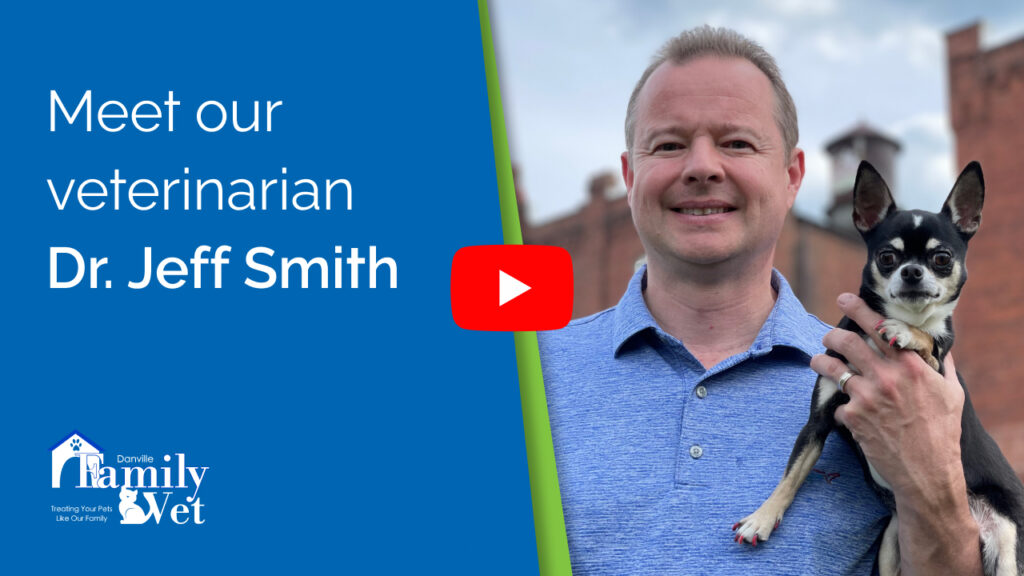 Jeff-Smith