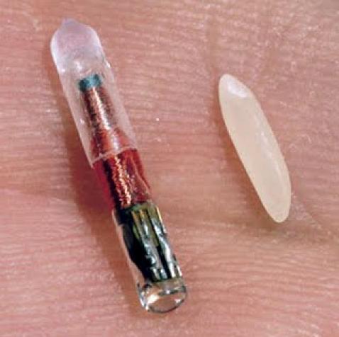 Microchip_rfid_rice