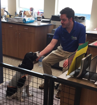 Pet-Stress-Management