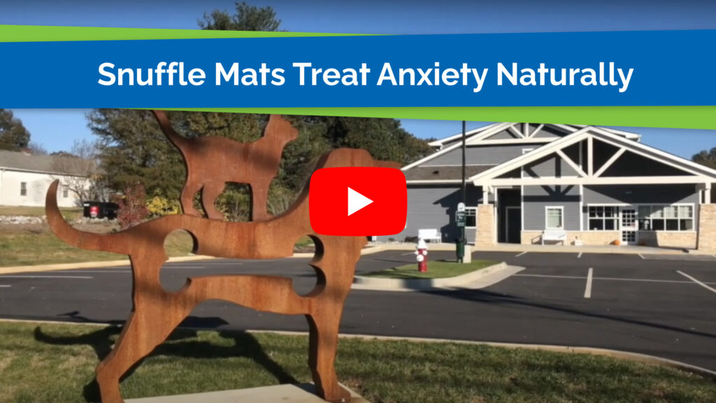 Snuffle Mats Treat Anxiety Naturally