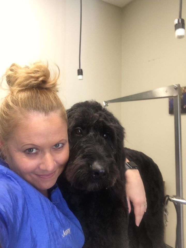 dog-groomer-2
