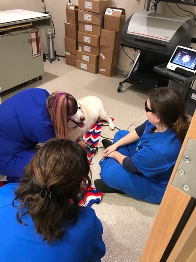 laser-therapy