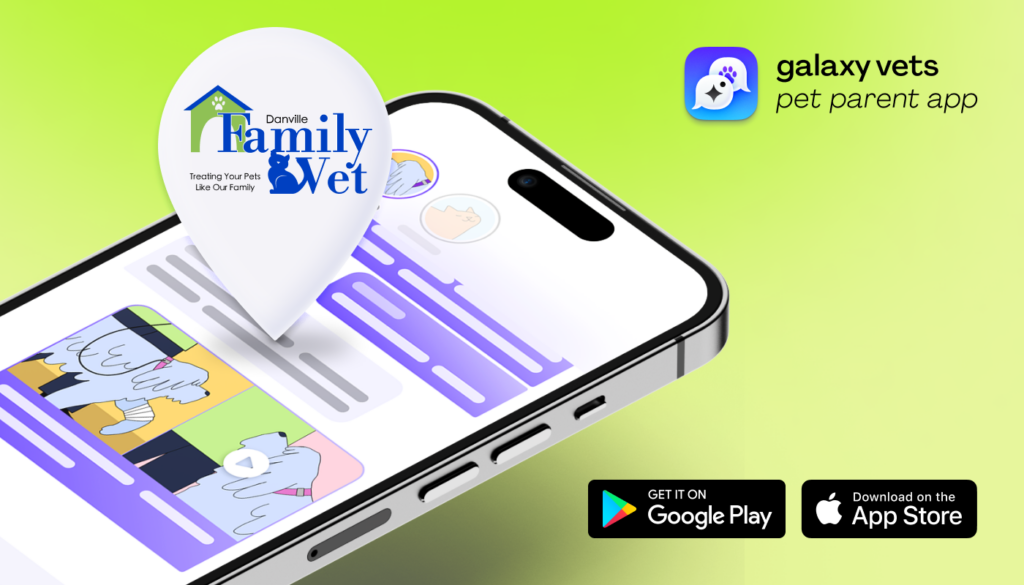 Galaxy Vets app