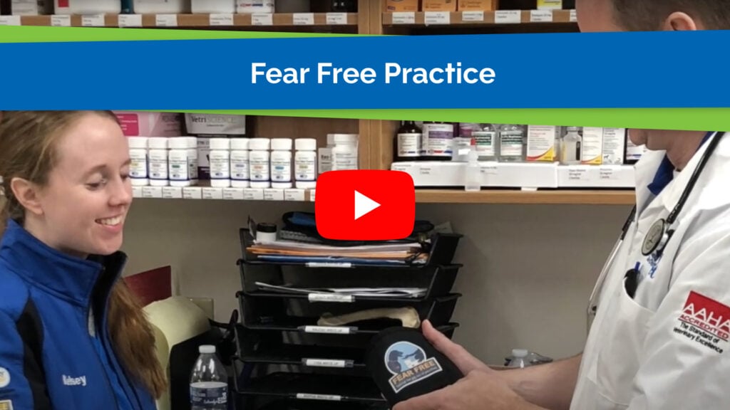 Fear Free Practice