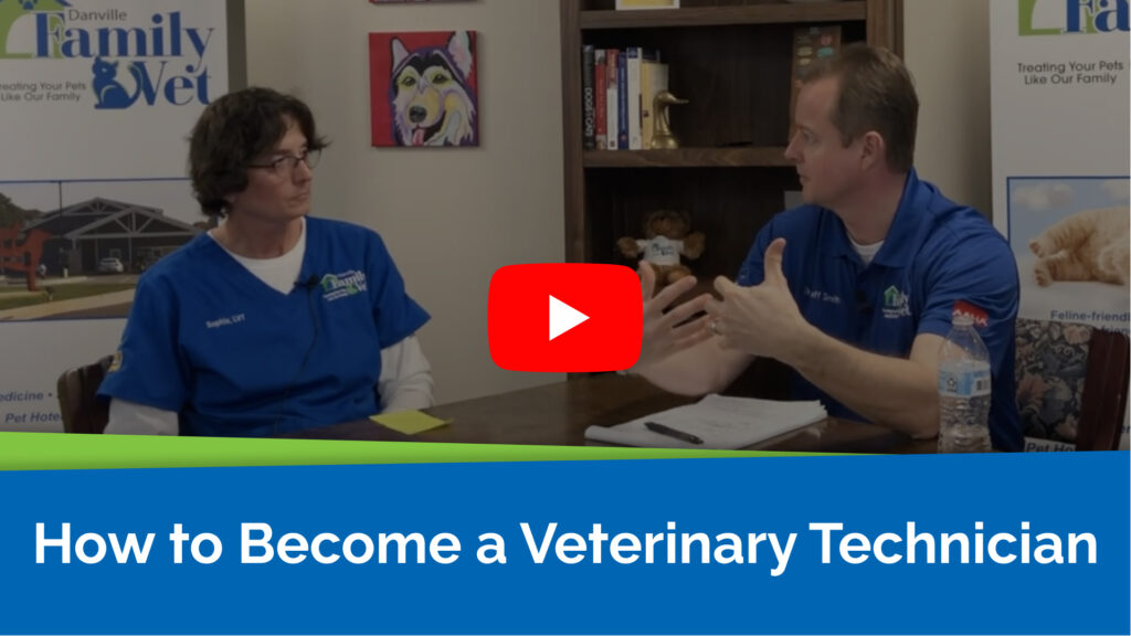 How to Become a Veterinary Technician